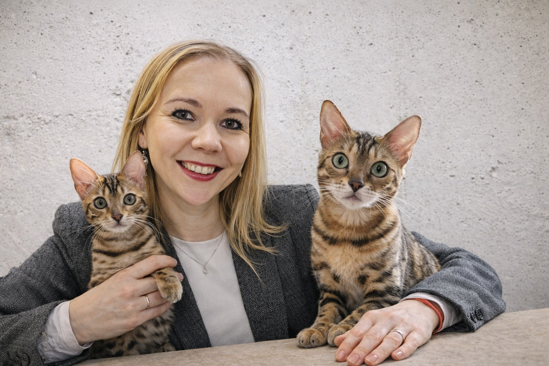 Daily Cat Life — Claws Included, Wisdom Required