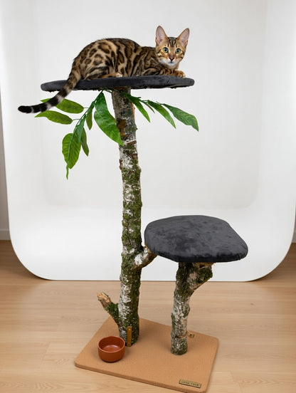 Handmade Cat Tree 135 cm – 2 Large 50x35 cm Platforms + 2-Year Warranty | Real Natural Branches